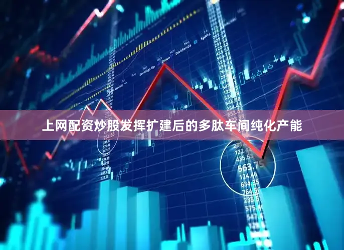 上网配资炒股发挥扩建后的多肽车间纯化产能